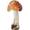 Mushroom - Biljke - 