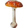 Mushroom - Plants - 