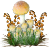 Mushrooms - Illustrations - 