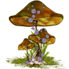 Mushrooms - Natura - 