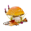 Mushrooms - Природа - 