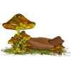 Mushrooms - Natura - 