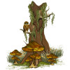 Mushrooms and tree - Природа - 