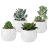 MyGift Assorted Realistic Succulent Plants in Modern Geometric Ceramic Pots, Set of 4 - Rośliny - $18.99  ~ 16.31€