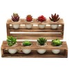 MyGift Rustic Burnt Wood Tiered Succulent Planter Stand with 8 Mini White Ceramic Plant Pots, Set of 2 - Furniture - $27.99 