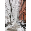 NYC winter - Uncategorized - 