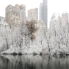 NYC winter photo - Uncategorized - 