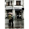 Rain - Minhas fotos - 