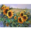 NancyLynchGallery sunflowers art - Ilustracje - 