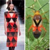 Nature fashion - 时装秀 - 