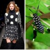 Nature fashion - Laufsteg - 