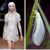 Nature fashion - Passerella - 