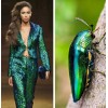 Nature fashion - Passarela - 