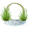 Nature water frame - Illustrazioni - 