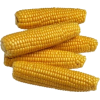 Corn - Živila - 