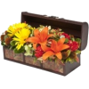 Flowers - Plantas - 