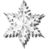 Snowflake - Предметы - 