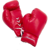 Boxing Gloves - Przedmioty - 