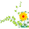 flower - Растения - 