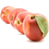 Fruits - Frutas - 