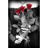 roses - Люди (особы) - 250,00kn  ~ 33.80€