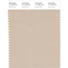 Neutral Color swatch - Illustrations - 