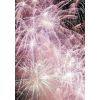 New Years  fireworks - Background - 