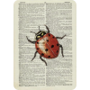Newspaper Art - Ilustracije - 