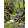 Ninglinspo river Liege region Belgium - Природа - 