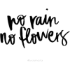 No Rain, No Flowers - Texts - 