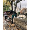 Notre Dame and bookstall in Paris - Gebäude - 