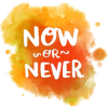 Now or Never - Uncategorized - 