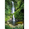 Nyungwe Forest waterfall Africa - 自然 - 