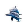 Ocean Dolphins - Natural - 