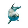 Ocean Dolphins - Природа - 