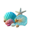 Ocean Shells - Natureza - 