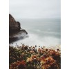 Ocean and autumn - Natural - 