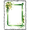 Frames Green - 框架 - 