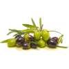 Olives - Food - 