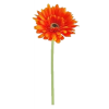 Orange Flower - Plantas - 