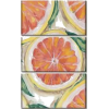 Orange Fruit - イラスト - 