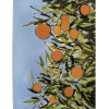 Orange Fruit - Illustrations - 