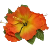 Orange Hawaiian Hibiscus Flower - Ilustracje - 