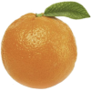 Orange - Obst - 
