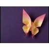 Origami - Minhas fotos - 