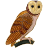 Owl bird - Animals - 