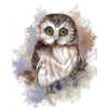 Owl Bird - Ilustracije - 