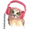 Owl - Иллюстрации - 