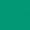 PANTONE 17-5641 Emerald - Ilustracje - 