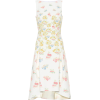 PETER PILOTTO Floral cady dress - Dresses - 